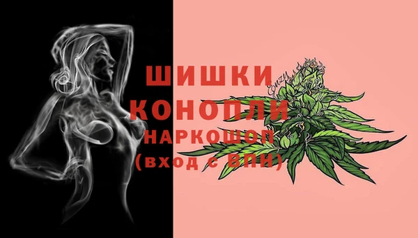 дурь Алзамай