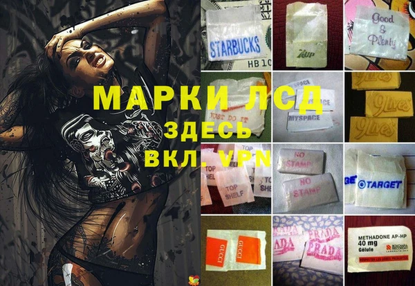 дурь Алзамай