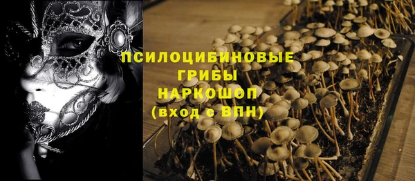 кристаллы Новозыбков