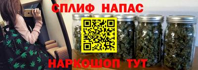 эйфоретик Пугачёв