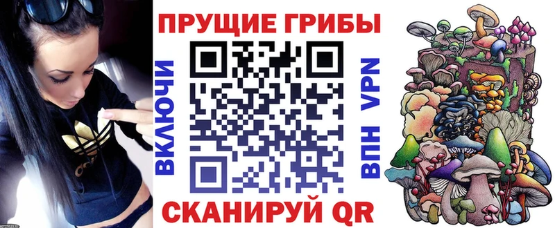 Галлюциногенные грибы прущие грибы  kraken   darknet наркотические препараты  Санкт-Петербург 